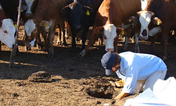 Argentinos crearon un asombroso sistema de efluentes para feedlots