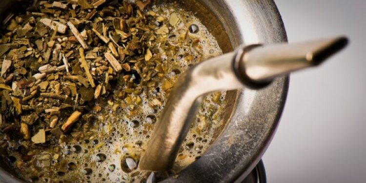 Afirman que tomar mate previene el Parkinson y la diabetes