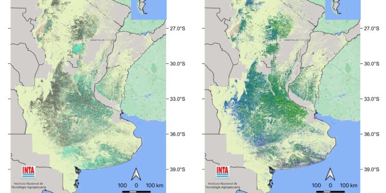 Se publicó una nueva edición del mapa nacional de cultivos