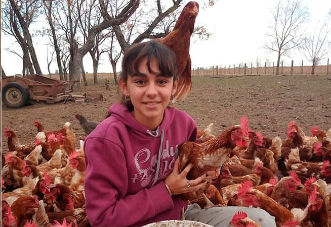 En tiempos de pandemia una niña se puso a criar gallinas y hoy cuenta con 800 animales