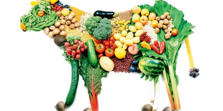 Denuncian que el etiquetado que se quiere implementar en los alimentos es un ataque al veganismo
