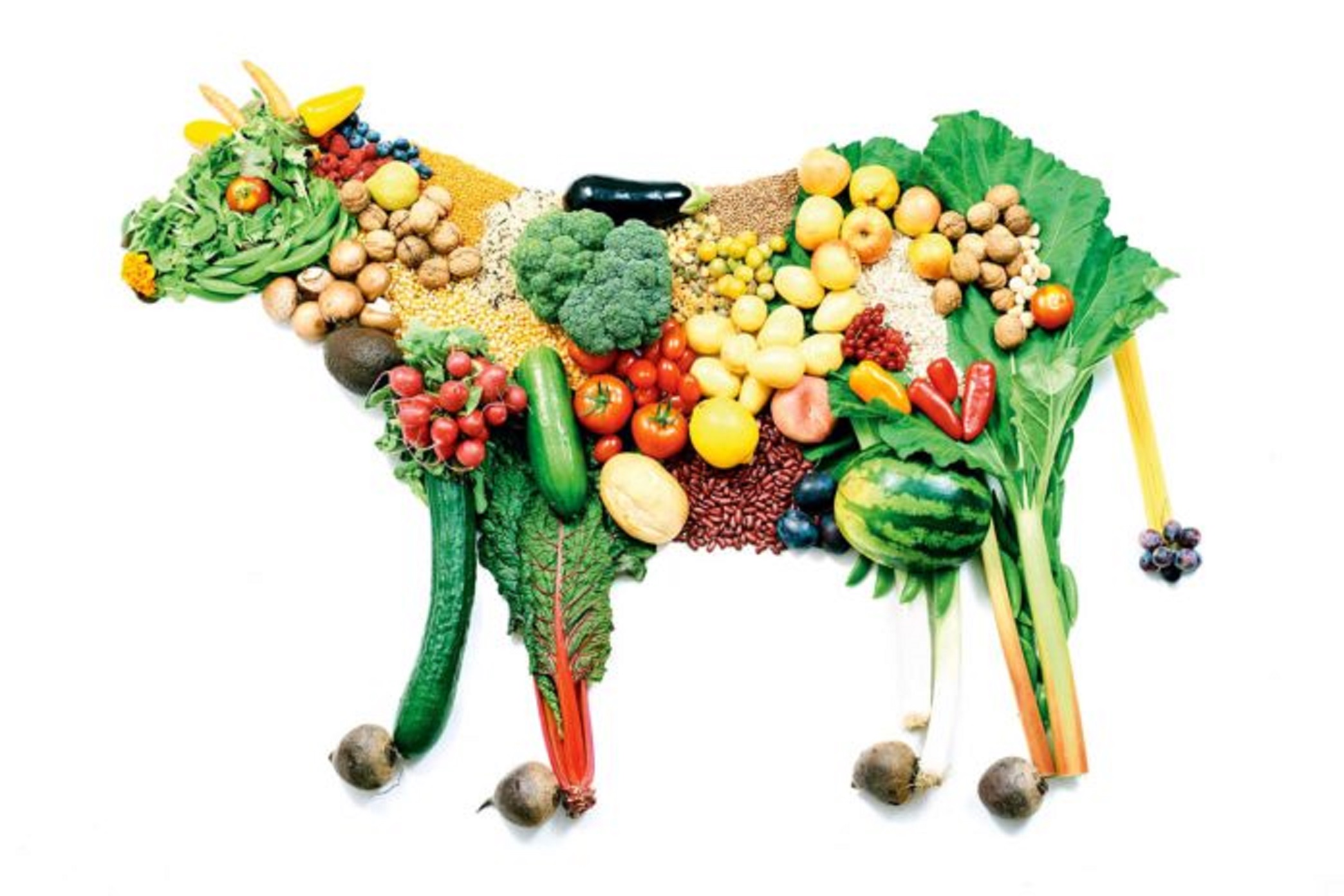 Denuncian que el etiquetado que se quiere implementar en los alimentos es un ataque al veganismo