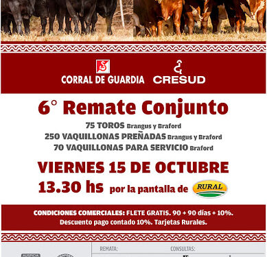 Animales con todas las aptitudes y adaptados al norte se ofrecerán hoy en un gran remate