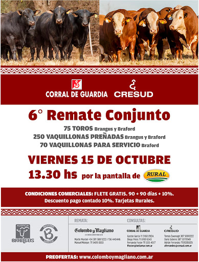 Animales con todas las aptitudes y adaptados al norte se ofrecerán hoy en un gran remate