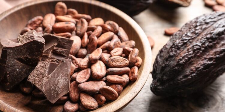 Chocolate: un producto originario del cacao y de diversas culturas en todo el mundo