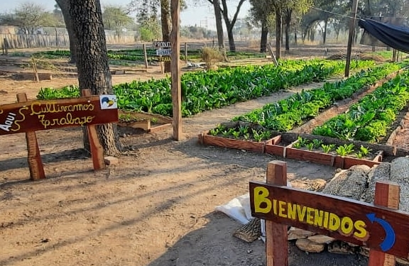 Una fundación en Santiago del Estero rescata familias de la extra pobreza enseñando a trabajar la tierra