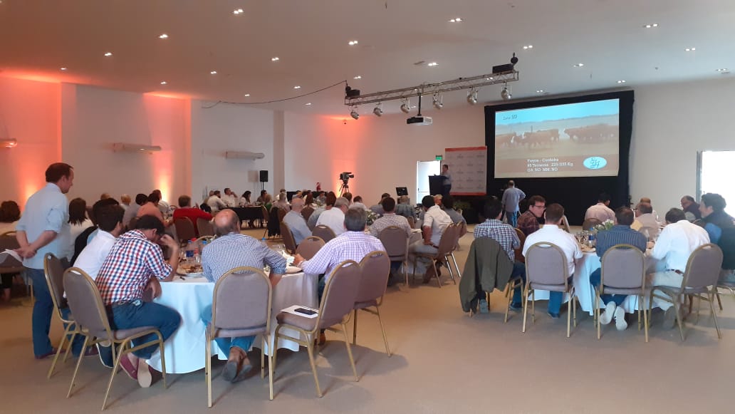 La Expo Rural 2021 se despidió con un remate exitoso
