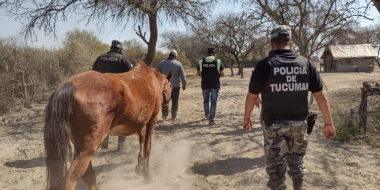 La policía salió a recorrer los campos para prevenir los delitos rurales