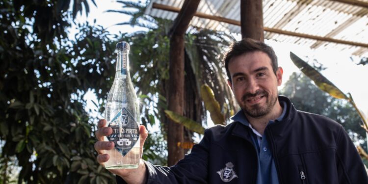 El primer gin tucumano galardonado a nivel nacional e internacional