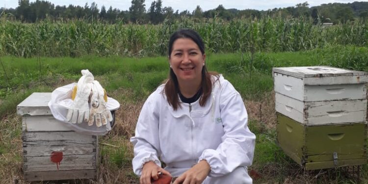 Turismo y aprendizaje: Tucumán cuenta con una «casa de abejas» para hacer visitas