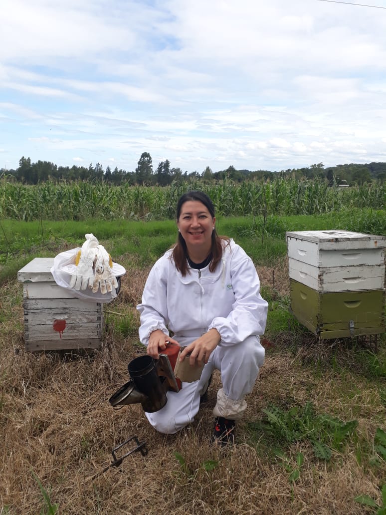 Turismo y aprendizaje: Tucumán cuenta con una «casa de abejas» para hacer visitas