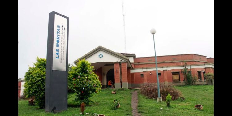Huerta terapéutica, una herramienta para el tratamiento de adicciones