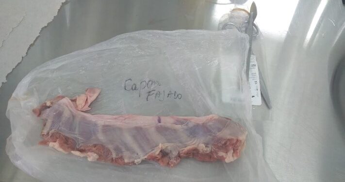 En Tucumán ya se encuentra disponible el análisis para detectar triquinosis