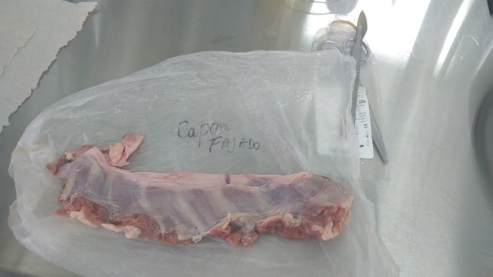 En Tucumán ya se encuentra disponible el análisis para detectar triquinosis