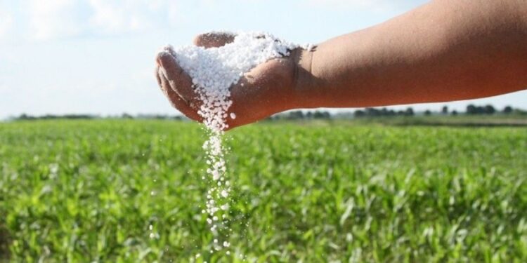 Urea: el fertilizante que aumentó un 70% en dólares