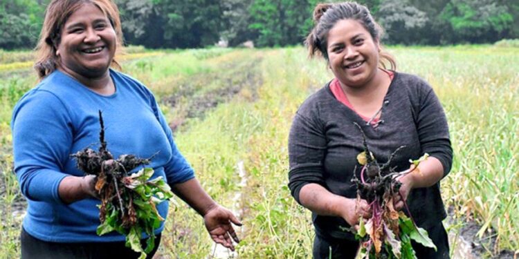 Tucumán: mujeres emprendedoras agropecuarias recibirán fondos para sus proyectos