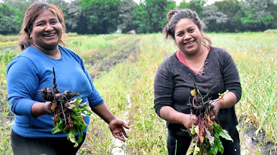 Tucumán: mujeres emprendedoras agropecuarias recibirán fondos para sus proyectos
