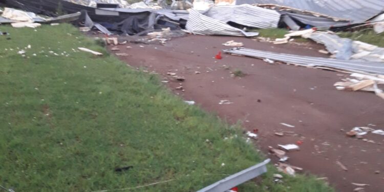 Impresionante: por una tormenta, un productor avícola perdió todo lo que tenía