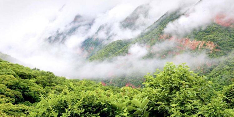 Empresas del sector promueven el turismo sustentable en Las Yungas