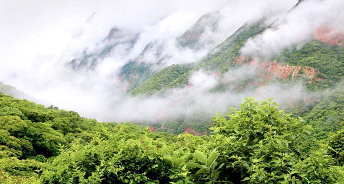 Empresas del sector promueven el turismo sustentable en Las Yungas