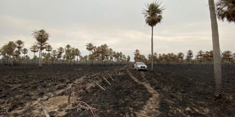 Preocupación alarmante entre los productores de Formosa