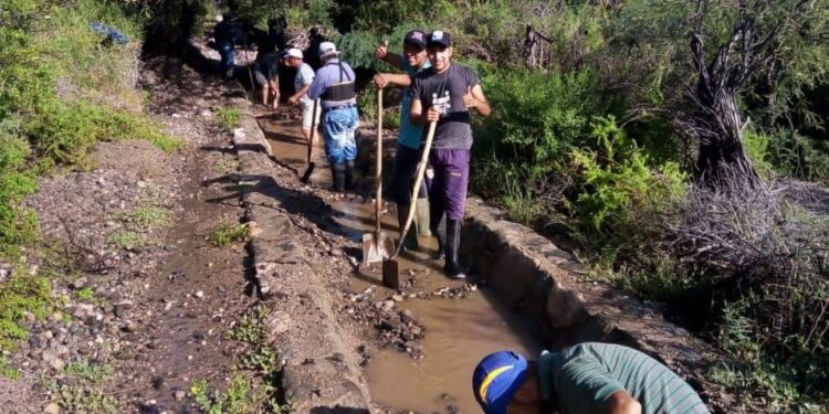 Las lluvias dejaron graves consecuencias en los Valles Calchaquíes