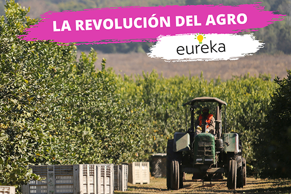 Convocan a emprendimientos agrícolas para el concurso Eureka