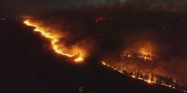 Corrientes se incendia a razón de 30.000 hectáreas por día