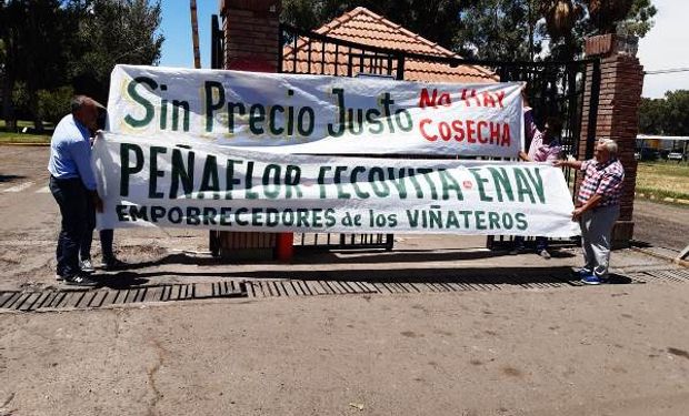 Fuerte reclamo de productores por el precio de la uva