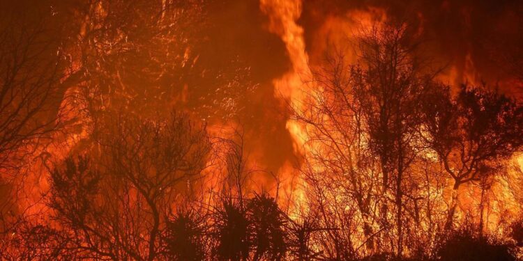 ¿Dónde están las brigadas nacionales para controlar el fuego?
