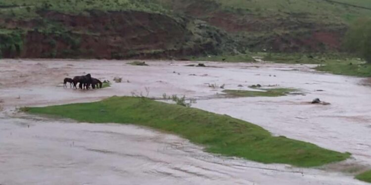 La tormenta causó estragos en Tafí del Valle y Mollar