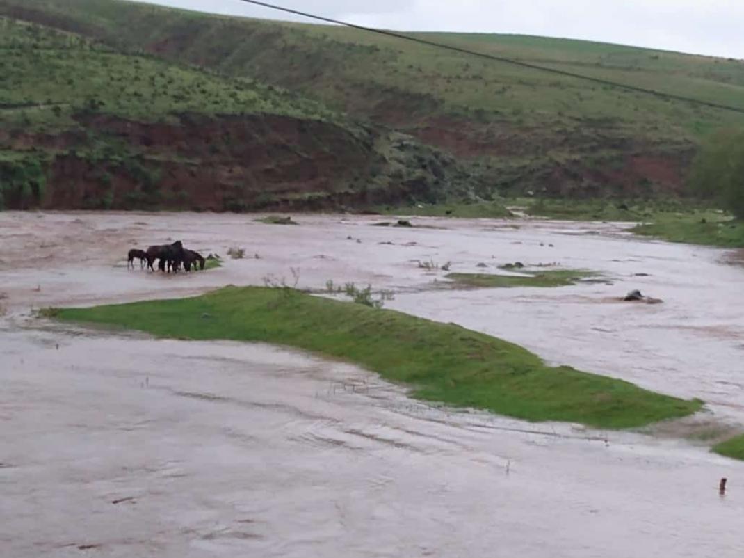 La tormenta causó estragos en Tafí del Valle y Mollar