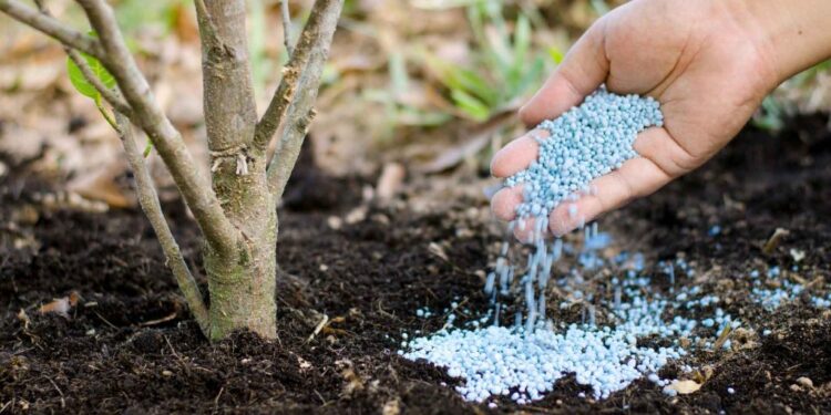 Preocupación por el abastecimiento de fertilizantes