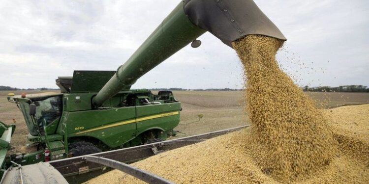 El gobierno subiría las retenciones de los derivados de la soja para subsidiar la industria del pan