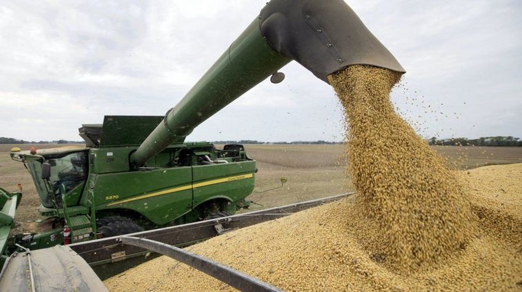 El gobierno subiría las retenciones de los derivados de la soja para subsidiar la industria del pan