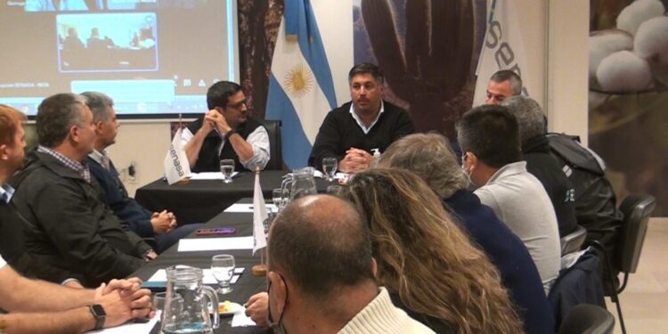 Senasa, INTA y el gobierno de Tucumán delinean acciones contra Diaphorina Citri