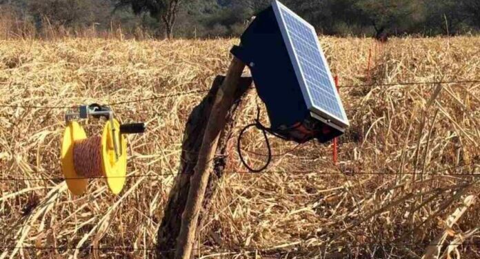 Boyeros solares para productores familiares