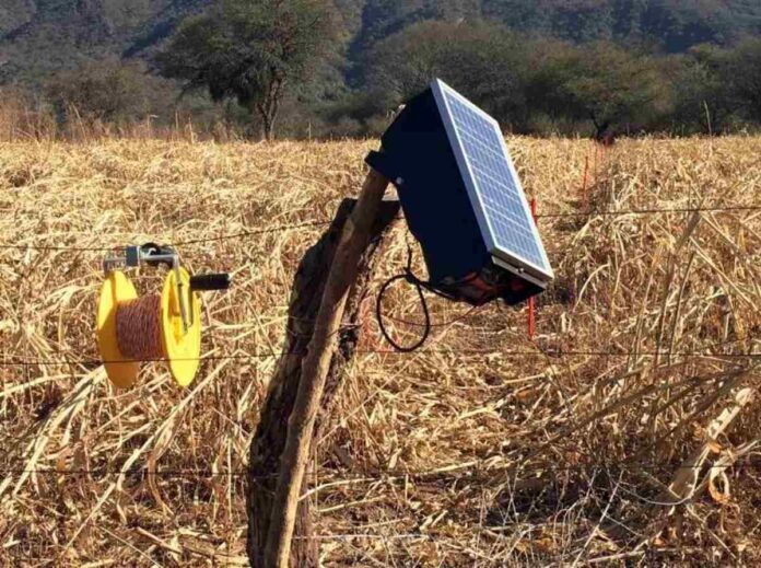 Boyeros solares para productores familiares