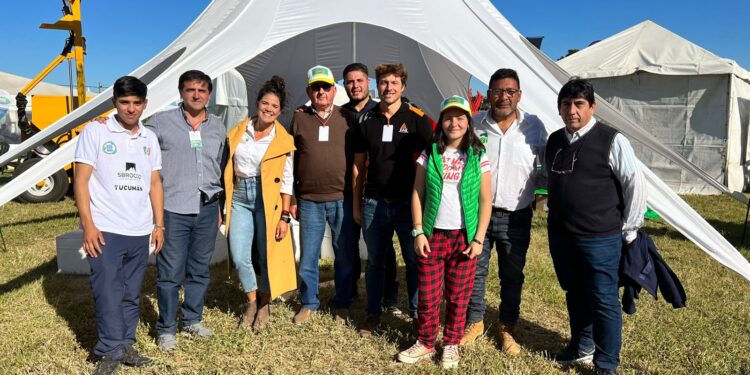 La maquinaria como clave de la producción citrícola