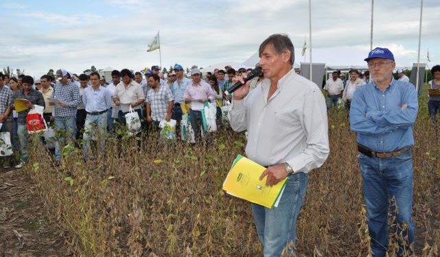 El día de campo de la EEAOC traerá interesantes novedades en soja, maíz, sorgo y poroto para el NOA