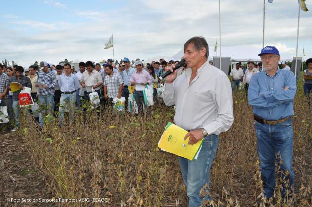 El día de campo de la EEAOC traerá interesantes novedades en soja, maíz, sorgo y poroto para el NOA