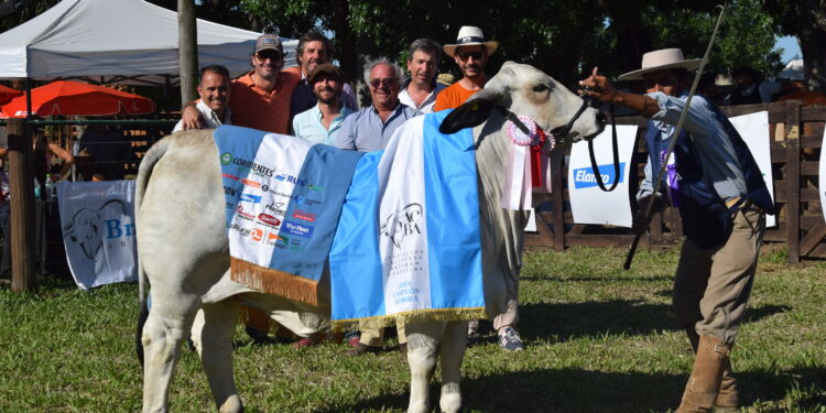 La Expo Nacional de Razas ya tiene fecha confirmada