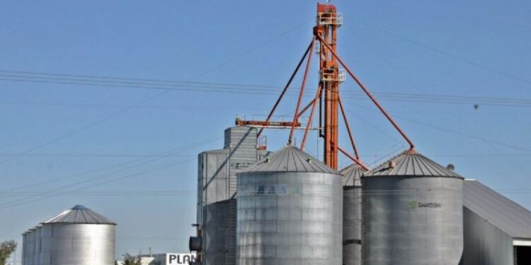 Los industriales no participarán del fondo del trigo creado por el gobierno