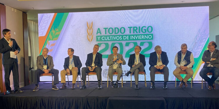 Los 7 actores de la cadena triguera expusieron sus miradas