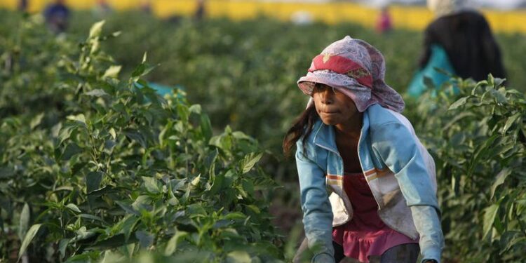 Un convenio multisectorial busca prevenir el trabajo infantil agrario