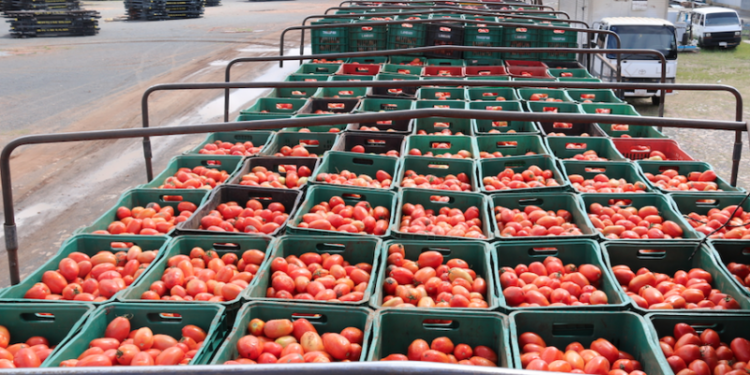 Aseguran que por la falta de gasoil no llegan las frutas y verduras a varias ciudades
