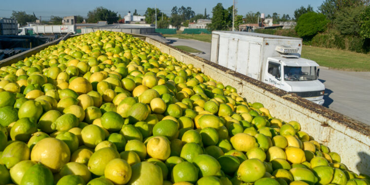 Continúa el conflicto por el gasoil y se agrava la situación del citrus y los cereales