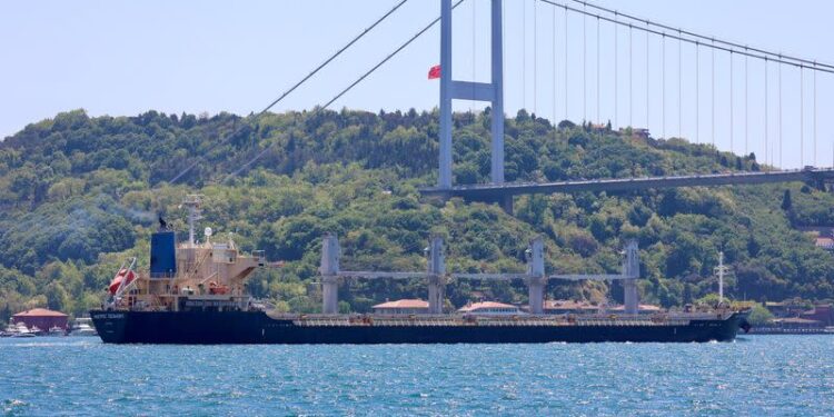 Conflicto bélico: se busca abrir las exportaciones para frenar la crisis alimentaria