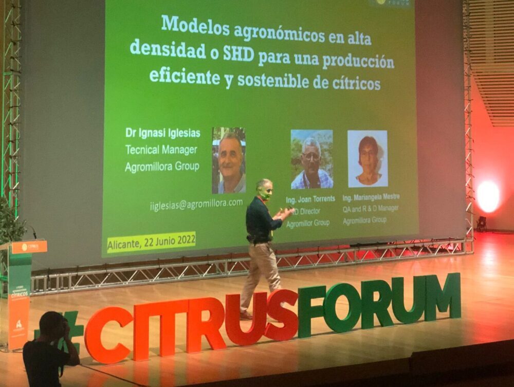 Intensificación Sostenible: Una nueva práctica que desafía a los citricultores