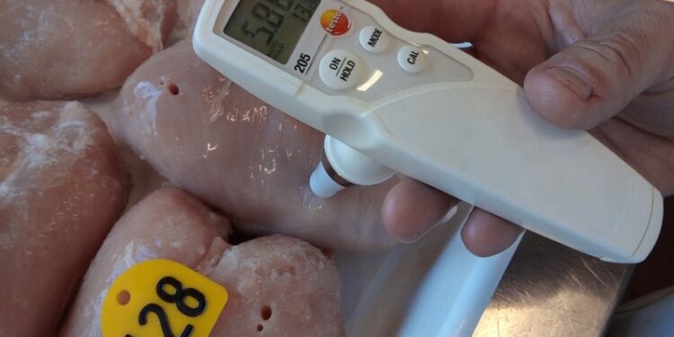 Investigadores enriquecen carne de pollo con aceite omega-3 de algas marinas